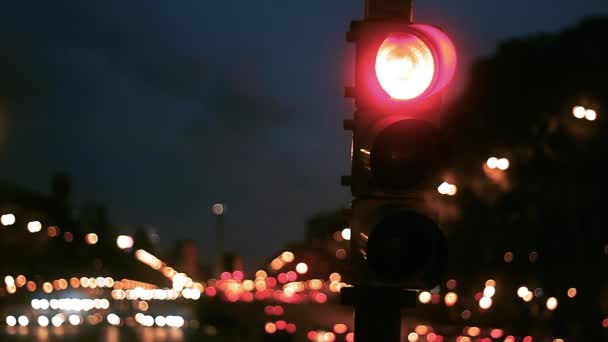 Traffic Light Julio Avenue Night Buenos Aires Argentina — Stock Video