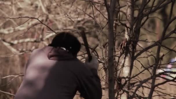 Tigre Argentina 2019年12月20日 森の中のマチェーテで木の枝を切る男 — ストック動画