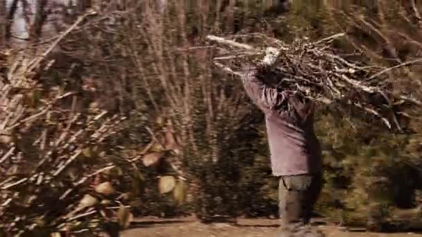 Mann Trägt Brennholz Auf Einer Insel Tigre Argentinien — Stockvideo