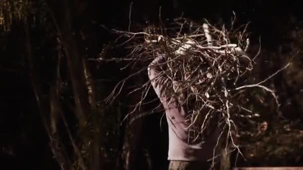 Człowiek Niosący Drewno Opałowe Wyspie Tigre Argentyna — Wideo stockowe