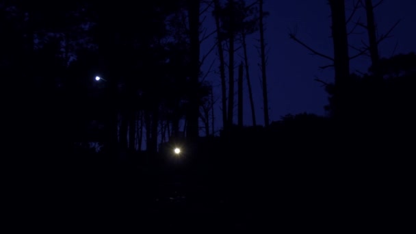 在黑暗的夜晚带着闪光的露营者 放大放大 — 图库视频影像