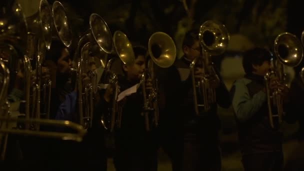 Cochabamba Bolivia 2019 Boliviaanse Muzikanten Spelen Blaasinstrumenten Drums Een Openbaar — Stockvideo