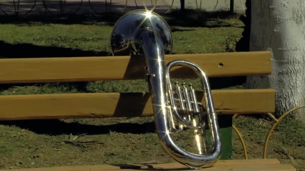 Park Bench Üzerinde Bir Baritone Horn Yakınlaştır — Stok video