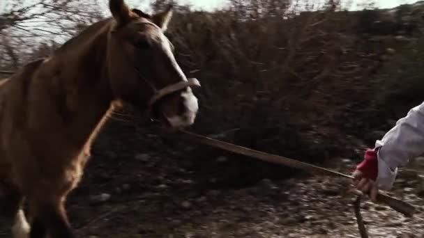 Patagonia Argentina 2019 Familia Andina Caminando Con Caballo Las Montañas — Vídeo de stock