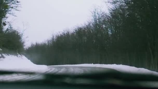 Vista Interior Carro Uma Estrada Tierra Del Fuego Perto Ushuaia — Vídeo de Stock