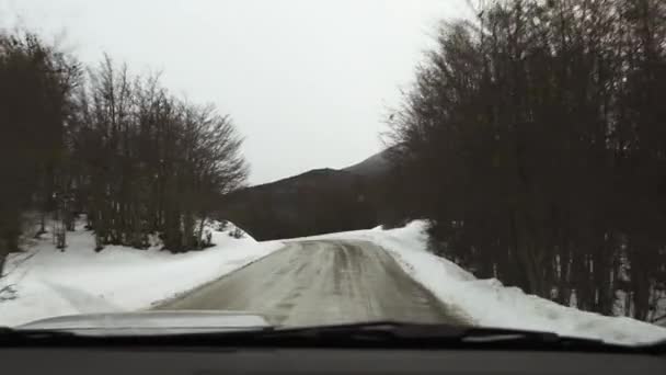 Vue Intérieure Voiture Dans Une Route Tierra Del Fuego Près — Video