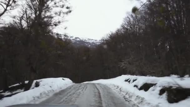 アルゼンチンのティエラ フエゴのウシュアイア近くの雪に覆われた松林を通る未舗装の道路 — ストック動画