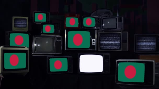 Drapeau National Bangladesh Les Téléviseurs Rétro Avec Des Barres Bruit — Video