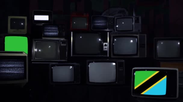 Tanzania Flag Retro Přiblížit Záběr Tón Modré Tóny — Stock video