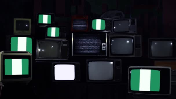 Nigeryjskie Flagi Telewizory Retro Kolorowymi Paskami Niebieski Ciemny Odcień — Wideo stockowe