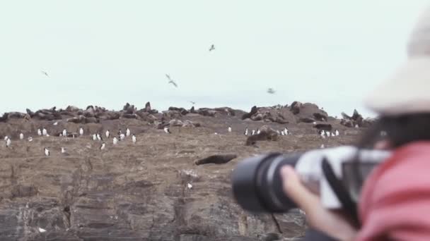 在阿根廷比格尔海峡的一个岛上拍摄企鹅和海狮的游客 — 图库视频影像