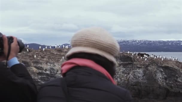 Mujer Asiática Joven Mirando Canal Beagle Patagonia Argentina Vista Posterior — Vídeo de stock