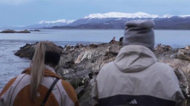 Beagle Channel, Arjantin 'de bir adada Deniz Aslanları' na bakan çift..  