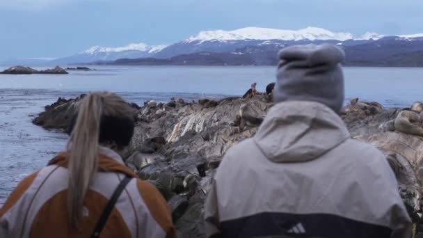 Para Patrząca Lwy Morskie Wyspie Kanale Beagle Argentyna — Wideo stockowe