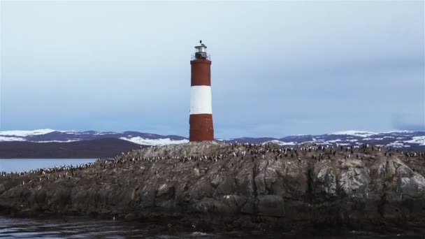 Faro Les Eclaireurs Antiguo Faro Canal Beagle Ushuaia Tierra Del — Vídeos de Stock