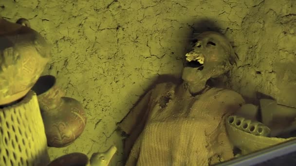 Paz Bolivia 2019 Oude Mummie Het Museum Van Muziekinstrumenten Paz — Stockvideo