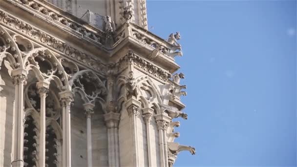 Low Angle View Gargoyles Statues Notre Dame Paris Enkele Maanden — Stockvideo