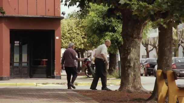 Provincie Buenos Aires Argentinië 2020 Twee Oude Mannen Wandelen Een — Stockvideo