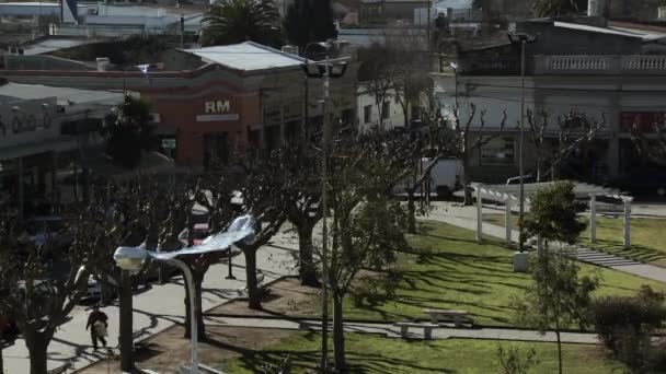 Plaza Armas Ciudad Pequeña Provincia Buenos Aires Argentina — Vídeos de Stock