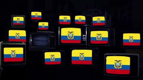 Drapeaux Equateur Téléviseurs Vintage Tone Foncé Bleu — Video