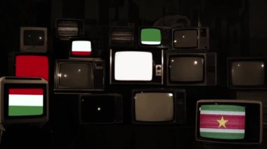 Surinam ve Vintage Televisions bayrağı. Sepia Tonu. 