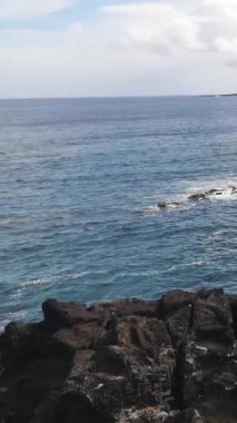 Rocky Coastline with Waves Crash Easter Adası, Şili - Dikey Video