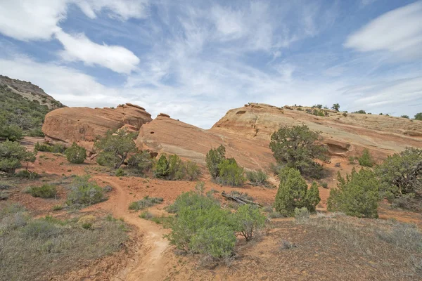 Pedras Coloridas Planalto Ocidental Colorado Monumento Nacional Colorado — Fotografia de Stock