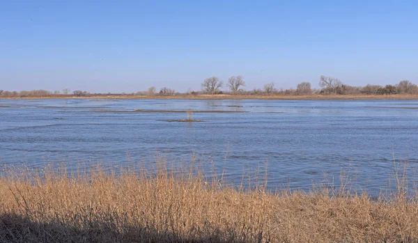 Fiume Platte Nelle Prime Ore Del Mattino Durante Migrazione Della — Foto Stock