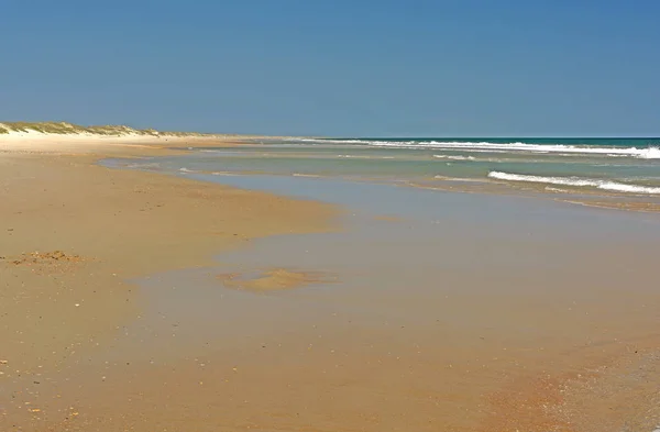 Calma Arena Playa Una Isla Barrera Isla Ocracoke Carolina Del —  Fotos de Stock