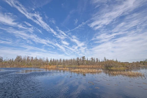 Céu Ensolarado Sobre Pântano Okefenokee Geórgia — Fotografia de Stock