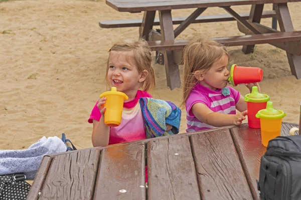 Hermanas Gemelas Disfrutando Almuerzo Playa Oval Beach Saugatuck Michigan — Foto de Stock