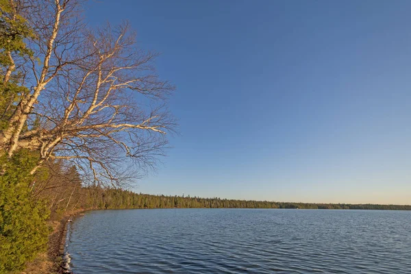 Kväll North Woods Lake Cypern Sjö Bruce Halvön Nationalpark Ontario — Stockfoto