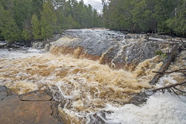 Águas Rugindo Sobre Inferior Inundado Tahquamenon Falls Tahquamenon Falls State — Fotografia de Stock