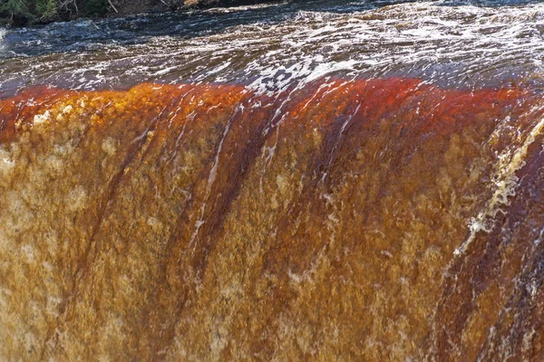 浸水の上ターカメノン滝上部のミシガン州のターカメノンの滝州立公園内のカラフルなクローズ アップ — ストック写真
