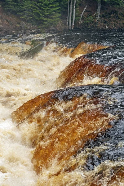 Jumbled Waters Flooded Lower Tahquamenon Falls Tahquamenon Falls State Park — Stock Photo, Image