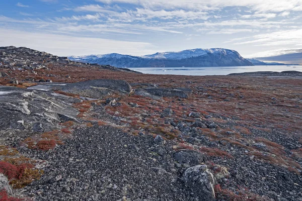 Fall Colors High Arctic Eqip Sermia Greenland — Stock Photo, Image