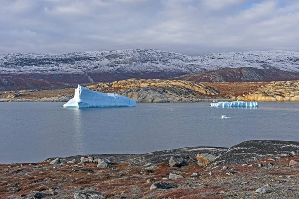 Icebergs Una Laguna Tranquila Ártico Cerca Eqip Sermia Groenlandia —  Fotos de Stock
