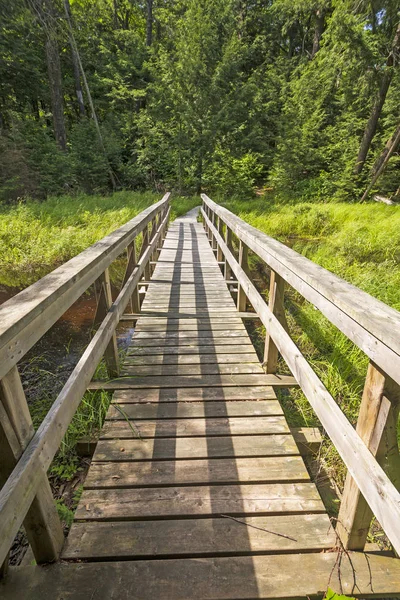 Dřevěná Lávka Divočinu Stopě Lesní Jezero Killarney Provincial Parku Ontariu — Stock fotografie