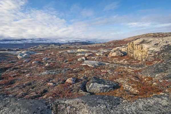 Podzim Barev Tundře Vysoké Arktidě Nedaleko Eqip Sermia Grónsku — Stock fotografie