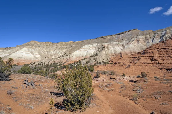 Färgglada Ridge Hög Öknen Kodachrome Basin State Park Utah — Stockfoto