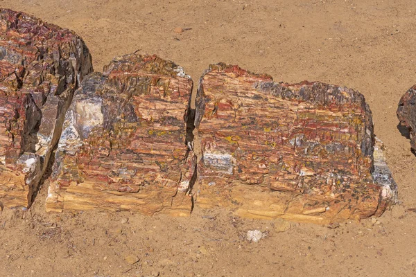 Förstenad Log Avlägsen Mesa Escalante Petrified Forest State Park Utah — Stockfoto