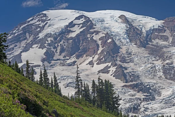 Παγωμένες Mount Rainier Δεσπόζει Πάνω Από Την Κορυφογραμμή Στο Όρος — Φωτογραφία Αρχείου