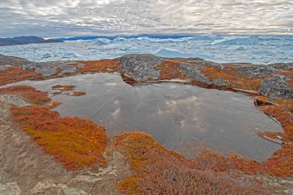 Étang Gelé Reflets Glace Automne Dans Arctique Par Glacier Ilulissat — Photo