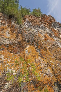 Ontario 'daki Quetico İl Parkı' ndaki Ottertrack Gölü 'ndeki Dramatik Orange Cliffs' e bakıyorum.