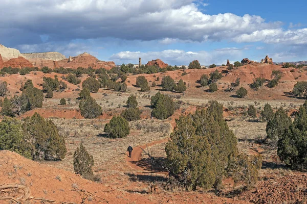 Nagy Sivatagi Völgyben Kodachrome Stae Park Utah Túrázás — Stock Fotó