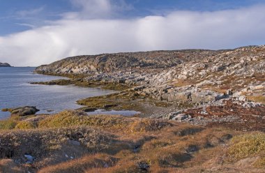 Kuzey kutbu yakınındaki Itilleq, Grönland sonbaharda uzak kıyı bölgede