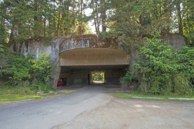 16 inch Gun Casemate in a coastal Forest at Cape Hayden on the coast of the Olympic Peninsula at Salt Creek Recreation Area in Washington clipart