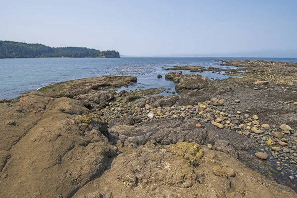 Odlivu Skalnaté Pobřeží Okamžiku Jazyk Pobřeží Olympijského Poloostrova Salt Creek — Stock fotografie