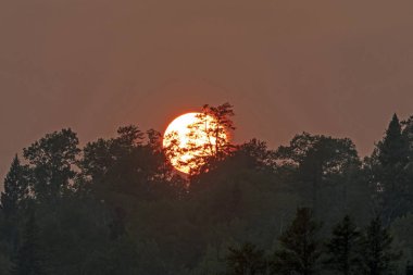 Gün batımında Pines Quetico Provincial Park Ontario diğer adam göl kenarında üzerinde kırmızı kızdırma