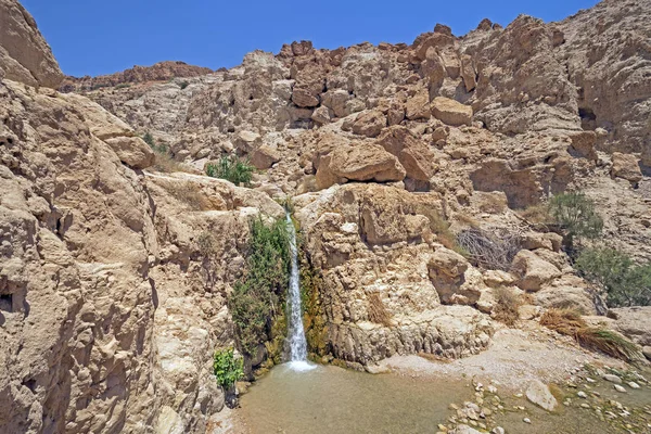 Cascade Dans Désert Été Réserve Ein Gedi Israël — Photo